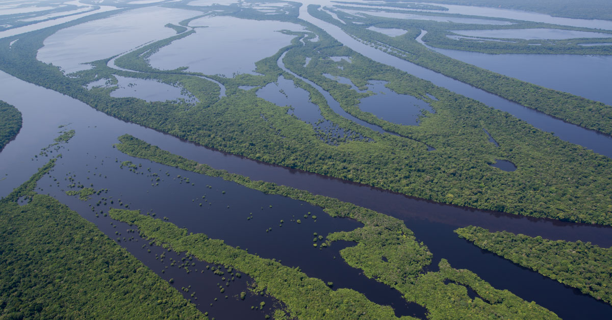 Turismo de negócios na Amazônia